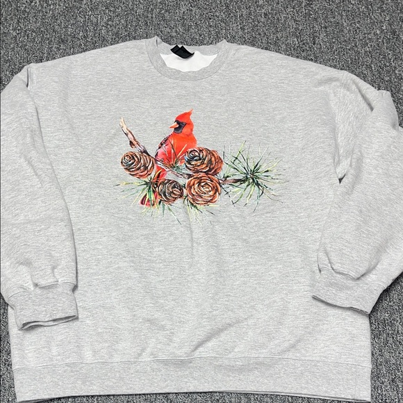 Gildan Sweaters - Gildan Women’s Red Cardinal Crewneck Sweater